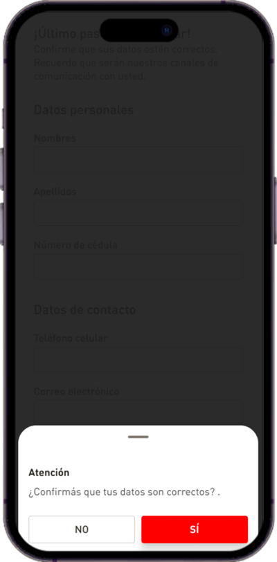 Confirmá los datos cargados