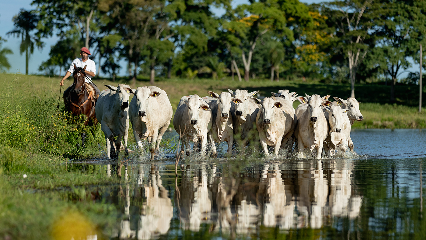 Sudameris Rural