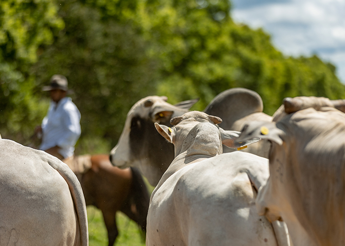Liderando la evolución del campo con soluciones a medida