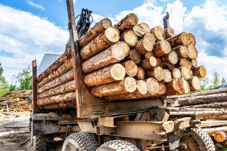 Financiamiento de Capital Operativo – Producción Forestal
