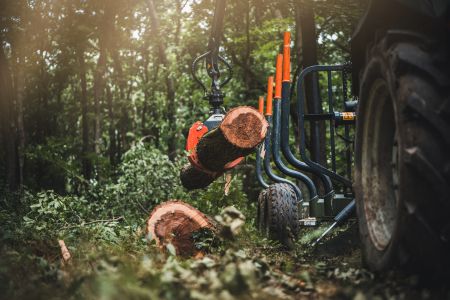 Financiamiento de Maquinarias y Equipos Forestales