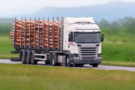 Financiamiento de Logística y Cadena de Suministro Forestal