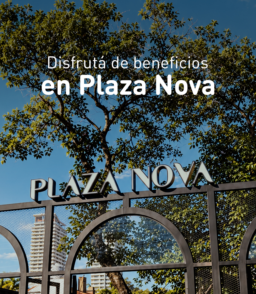 Aniversario Plaza Nova